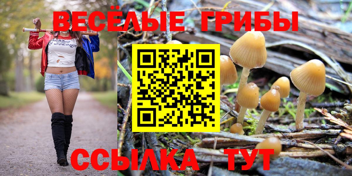 Сальск  Галлюциногенные грибы прущие грибы  Галлюциногенные грибы Magic Shrooms  Вход с VPN 